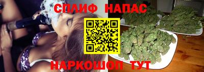 твердый Майкоп