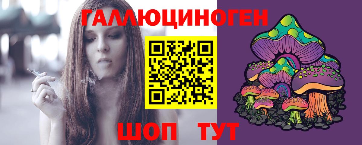 Псилоцибиновые грибы Psilocybe Топки